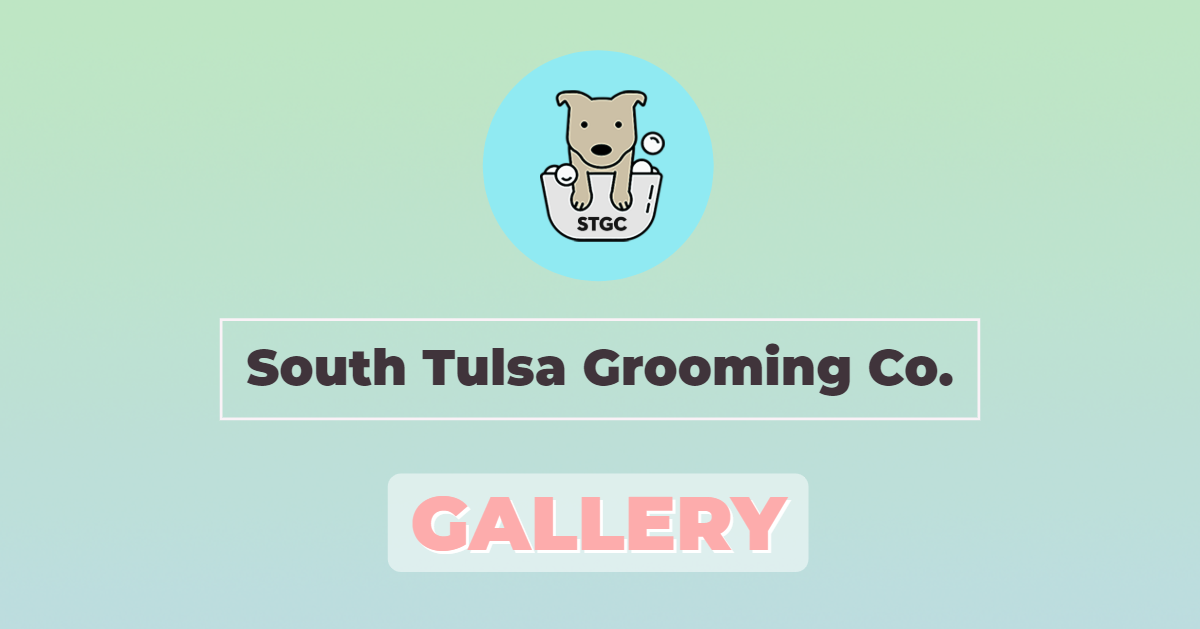 Gallery South Tulsa Grooming Co.